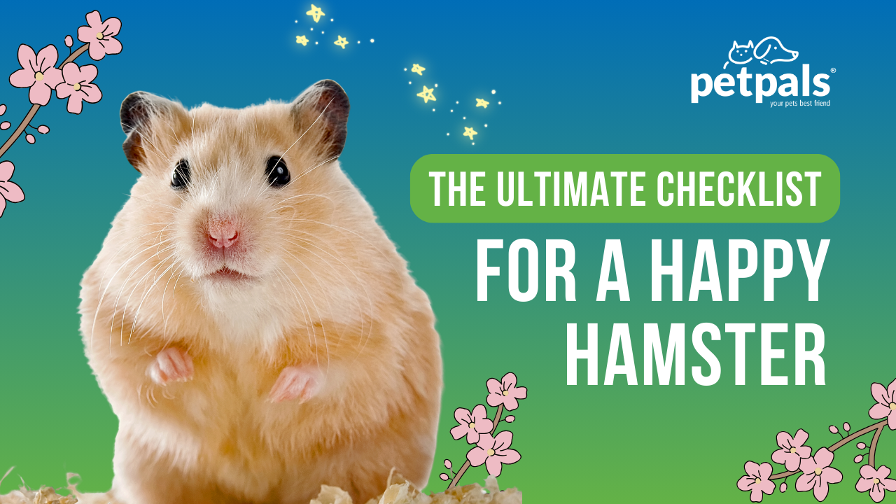 Photo inspiration: The Ultimate Checklist For A Happy Hamster Photo Inspiration
