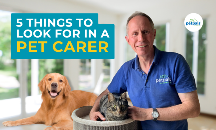 What to Look for in a Pet Carer: 5 Essentials Every Owner Should Know