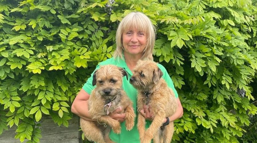 What to Look for When Choosing a Home Boarder for Your Dog