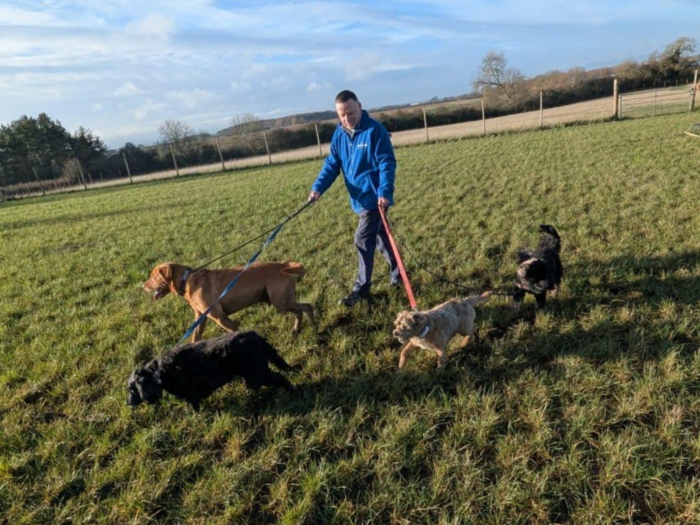 Andy of Petpals Halesowen walks dogs in a field