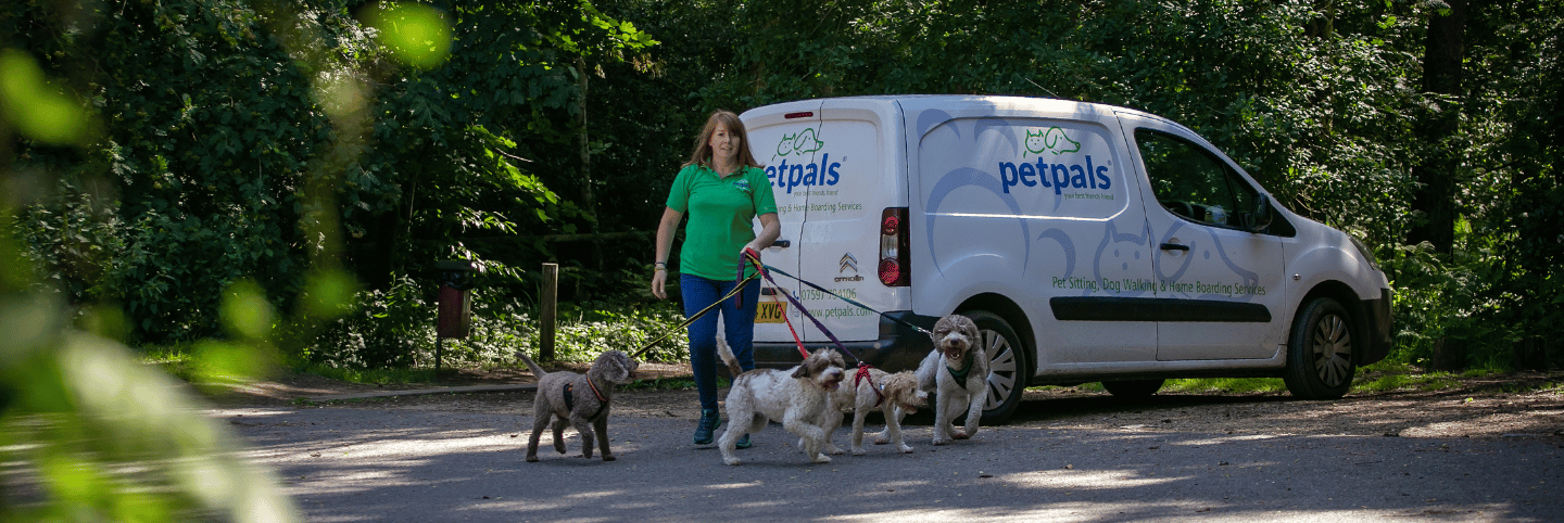 Petpals Matlock image