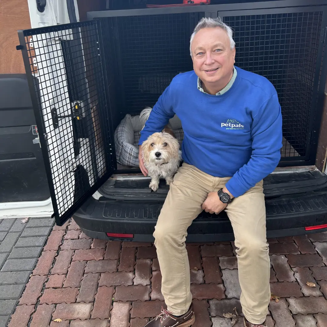 Robbie - Petpals Christchurch