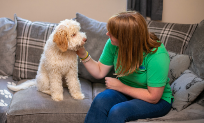 Petpals Dog Home Boarding