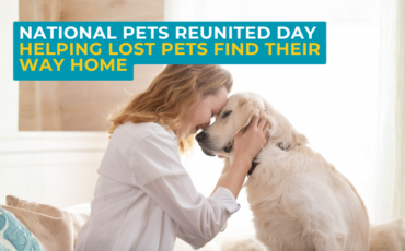 National Pet Reunited Day
