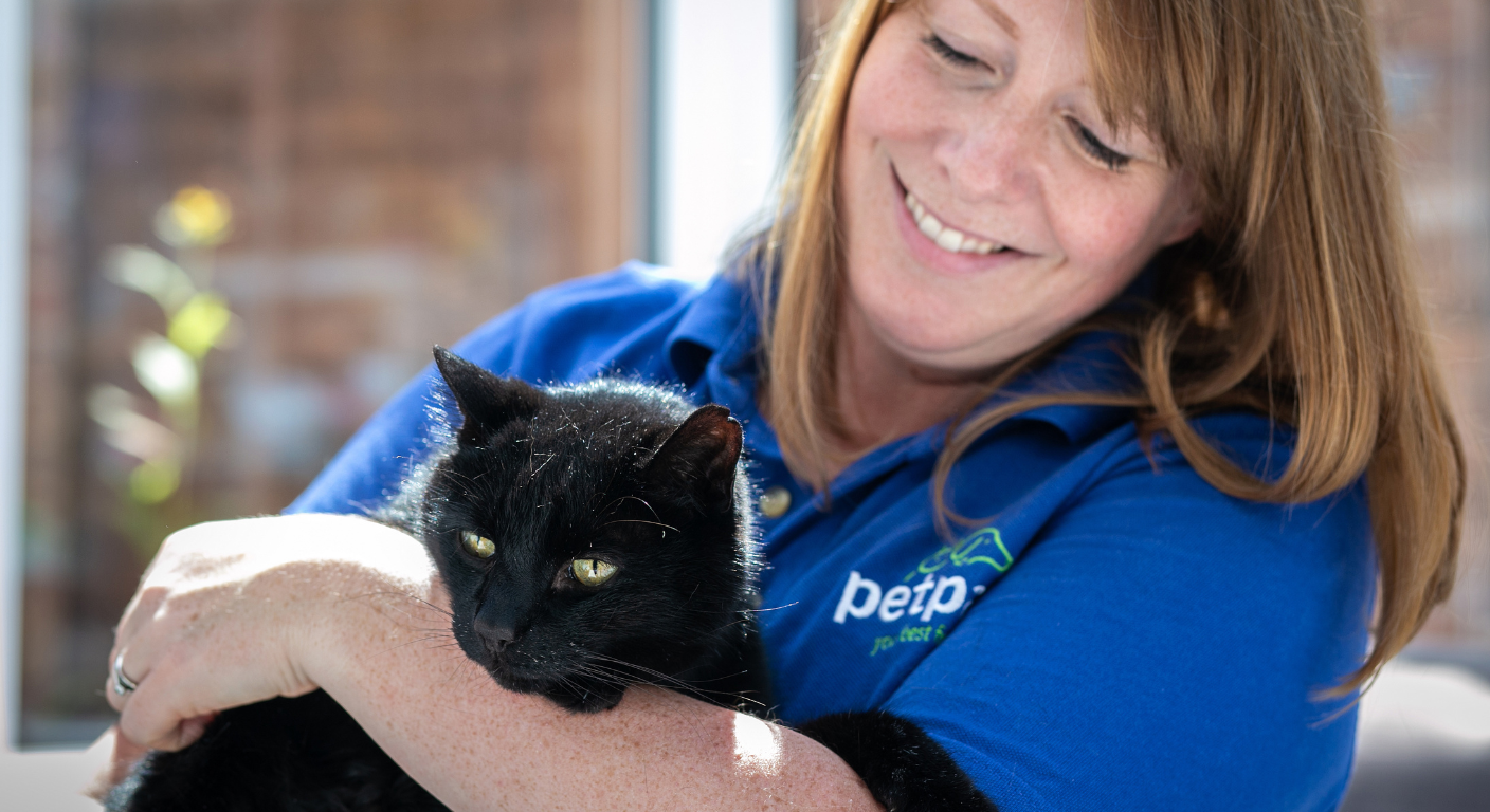 Award-winning cat sitting with Petpals