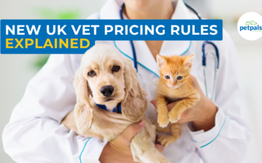 New UK vet pricing rules explained. Vet holding a dog and a cat.