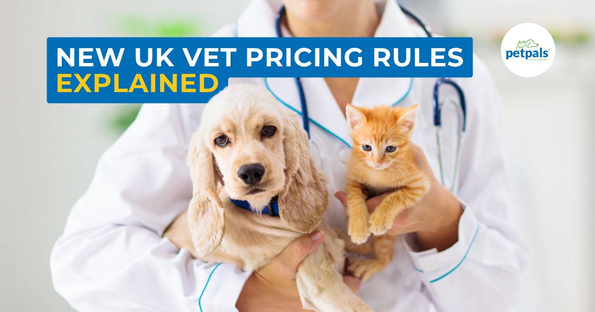 New UK vet pricing rules explained. Vet holding a dog and a cat.