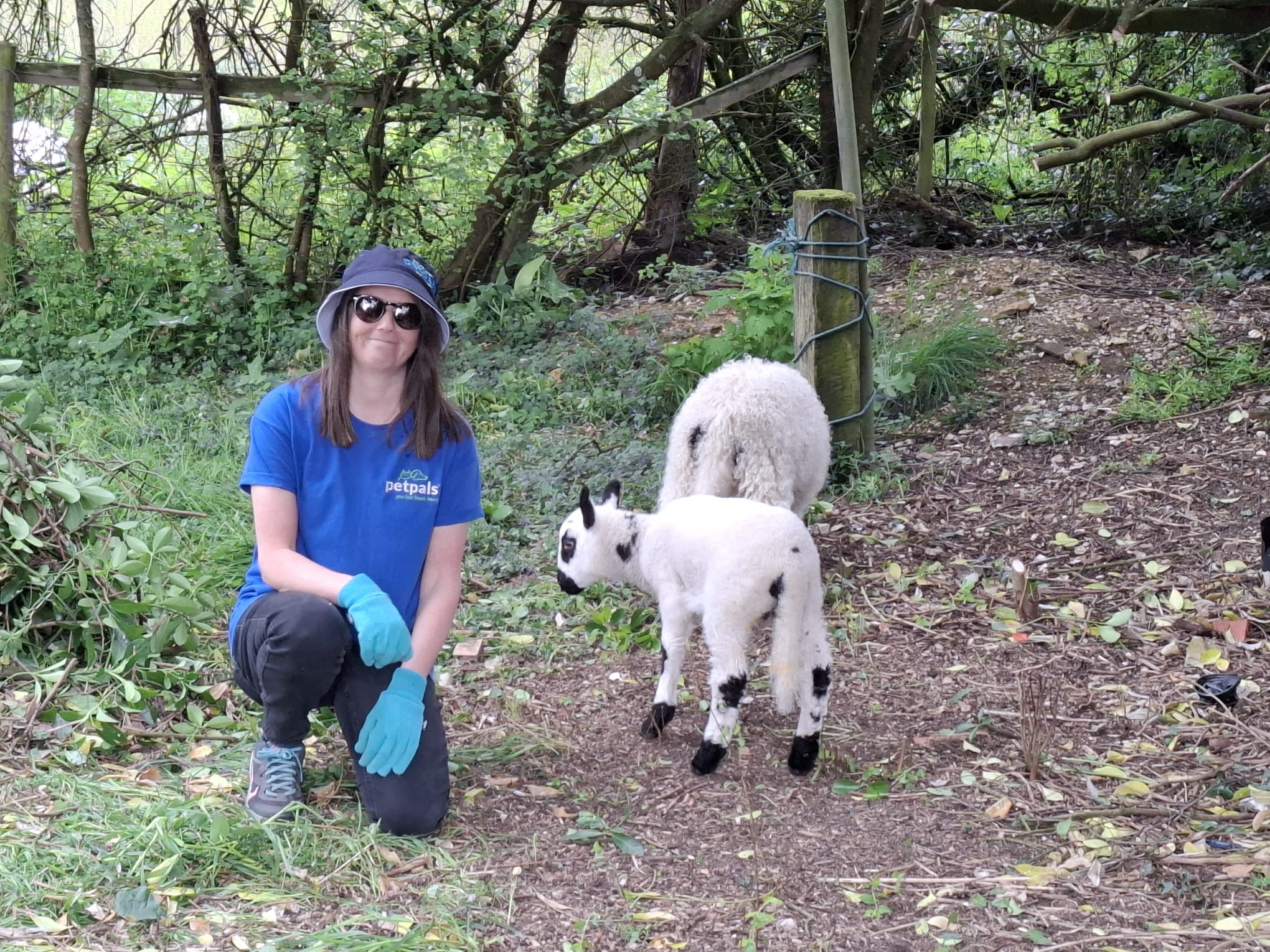 Petpals team at The Three Bees Project Andover