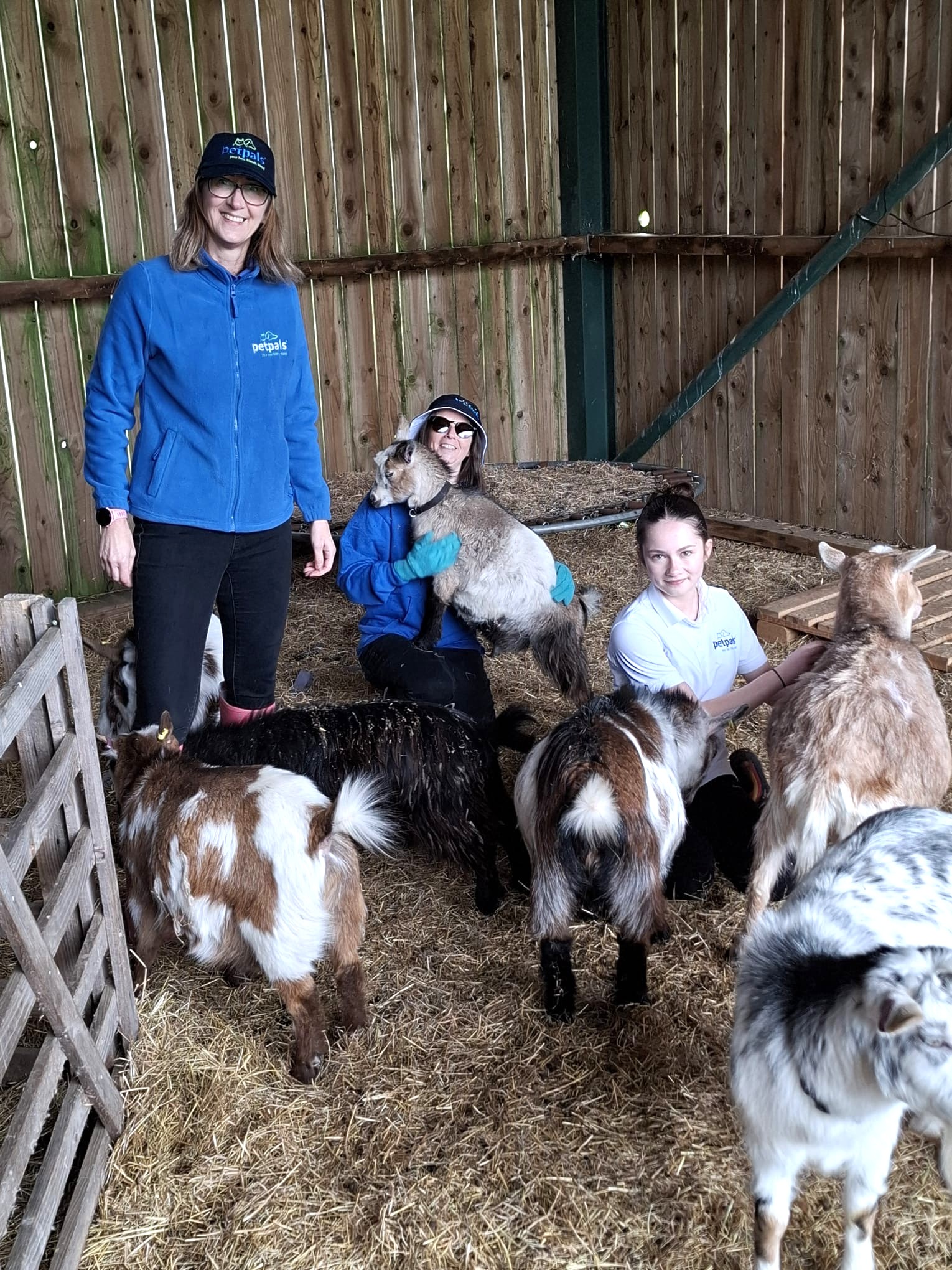 Petpals team with therapy goats Andover