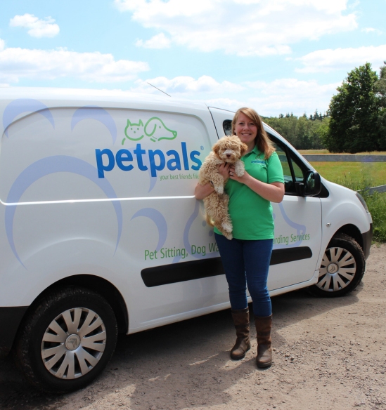 Pet Taxi Service