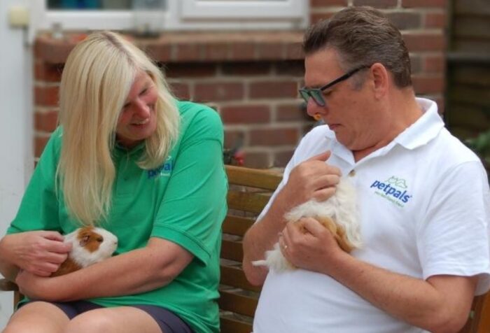 What is the best pet franchise to buy in the UK?