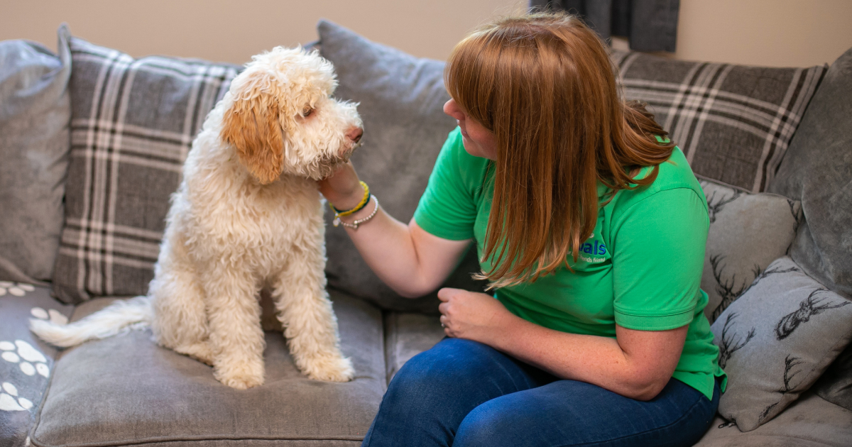 Become a Petpals Dog Boarder