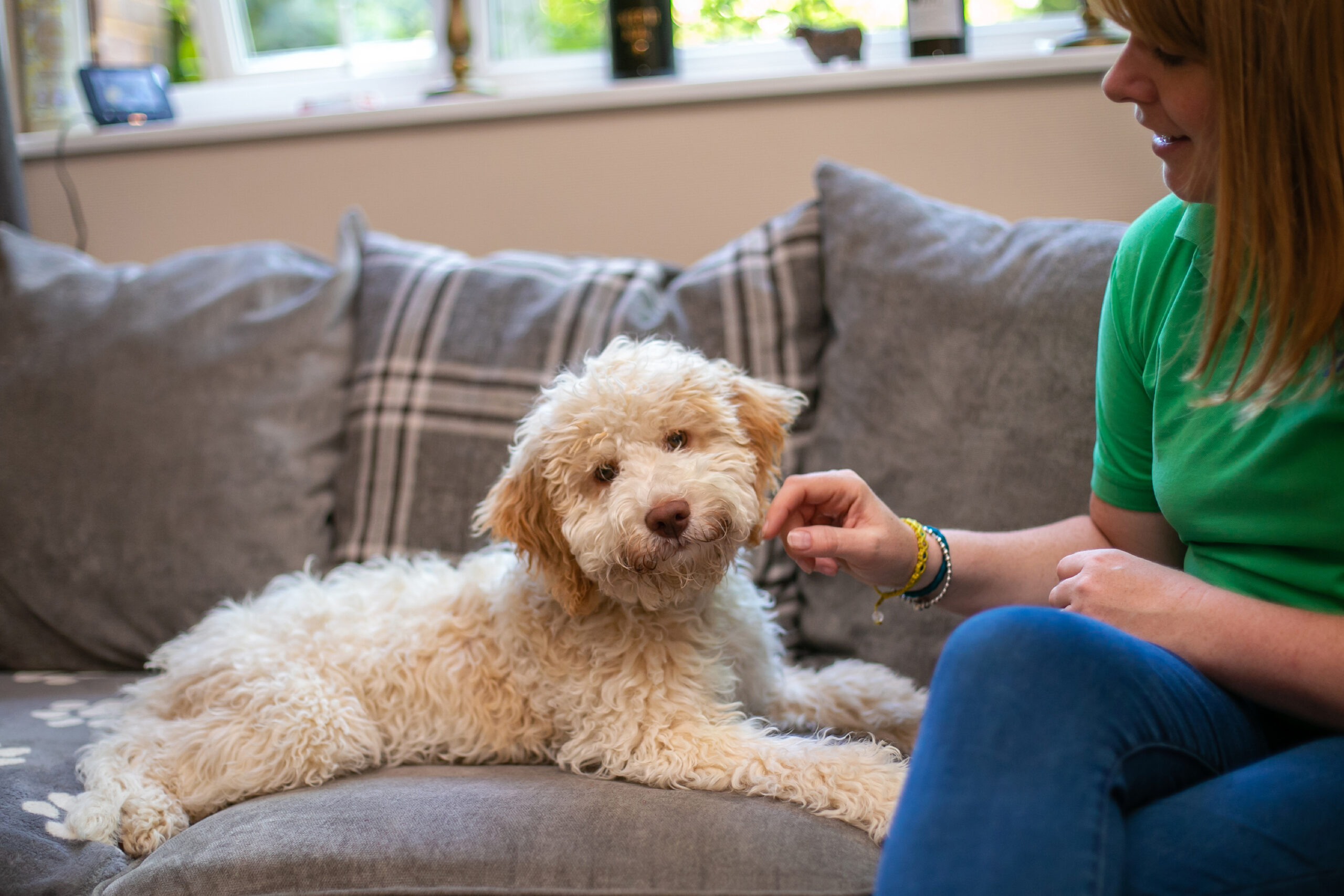 Petpals Dog Boarding Host