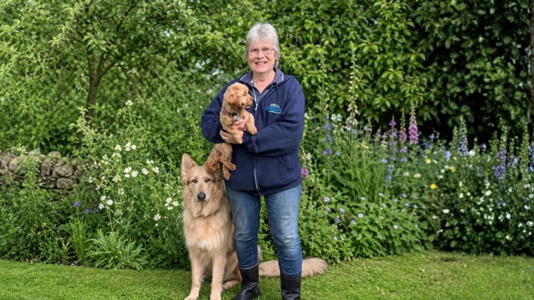 Petpals Amber Valley image