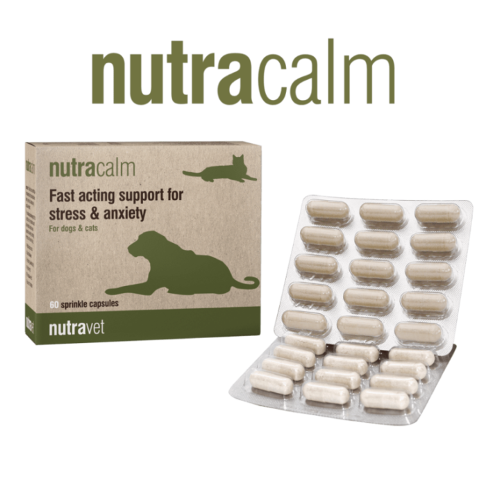 Image go Stress relief for dogs, Calming Supplements for Dogs, Cats and horses