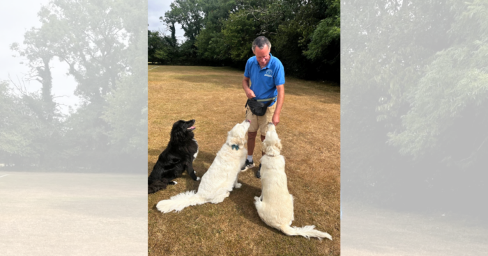 Petpals Crawley franchisee James Callow wins a Great British Franchisee Award, recognising his business growth, outstanding pet care and customer service.