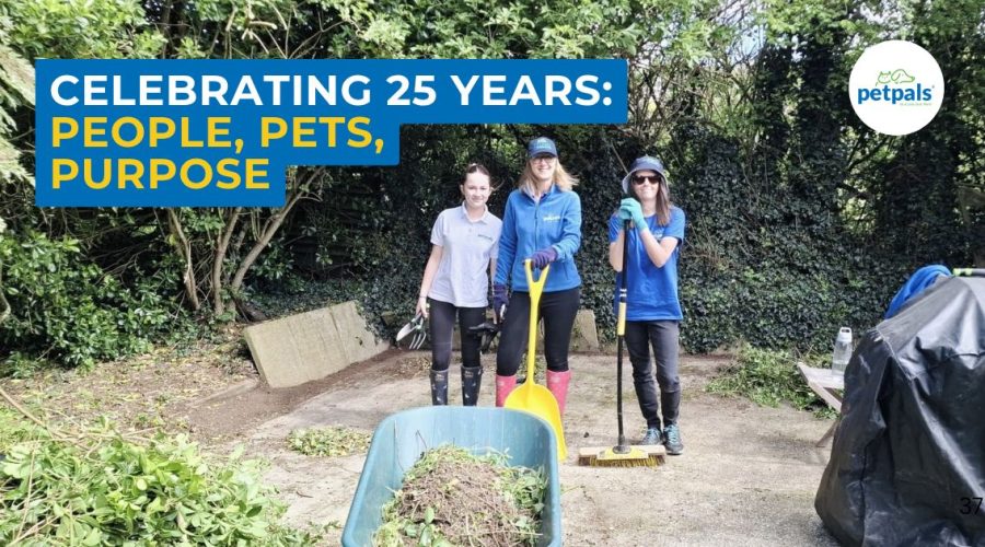 Celebrating-25-Years-Petpals.-People-Pets-Purpose