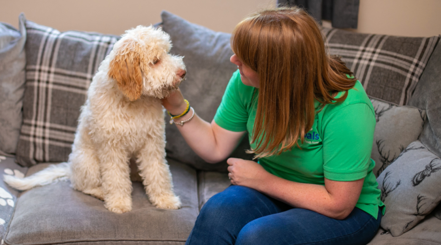 A woman in a green Petpals shirt gently pets a white dog, smiling as they share a moment together outdoors.