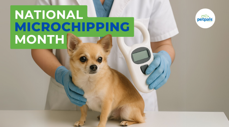National Microchipping Month
