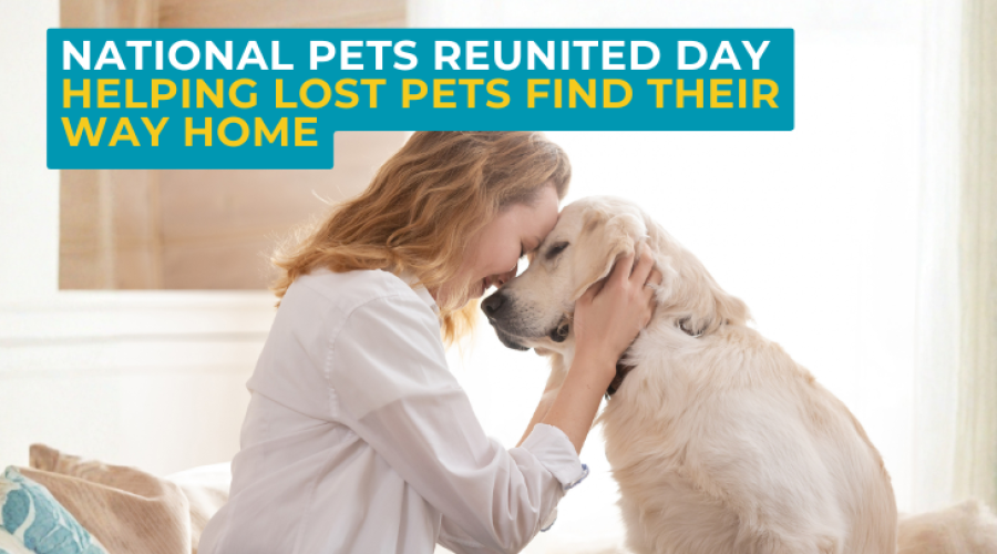 National Pet Reunited Day