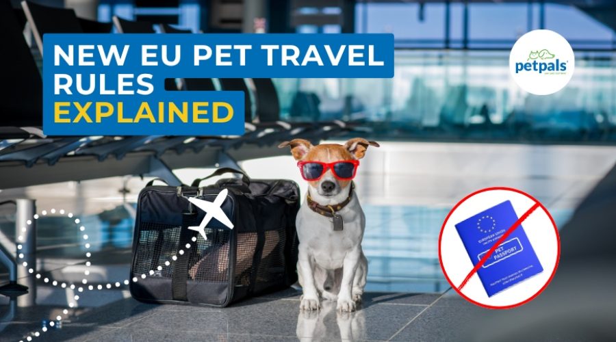 New-EU-Pet-Travel-Rules-Explained