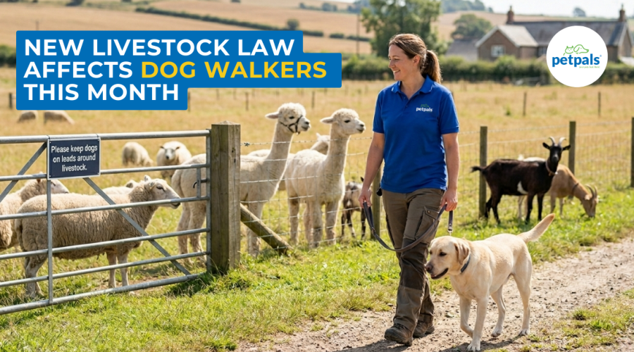 New Livestock Law Affecting Dog Walkers