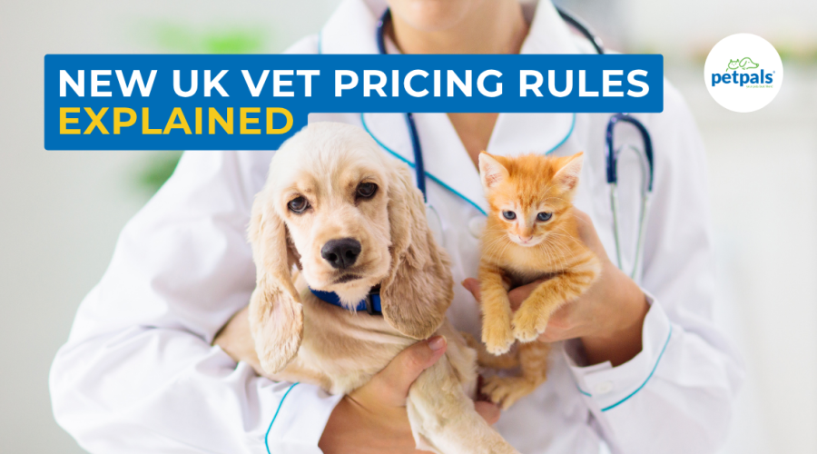 New UK vet pricing rules explained. Vet holding a dog and a cat.