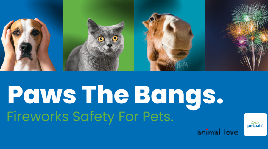 Paws The Bangs Preview Image