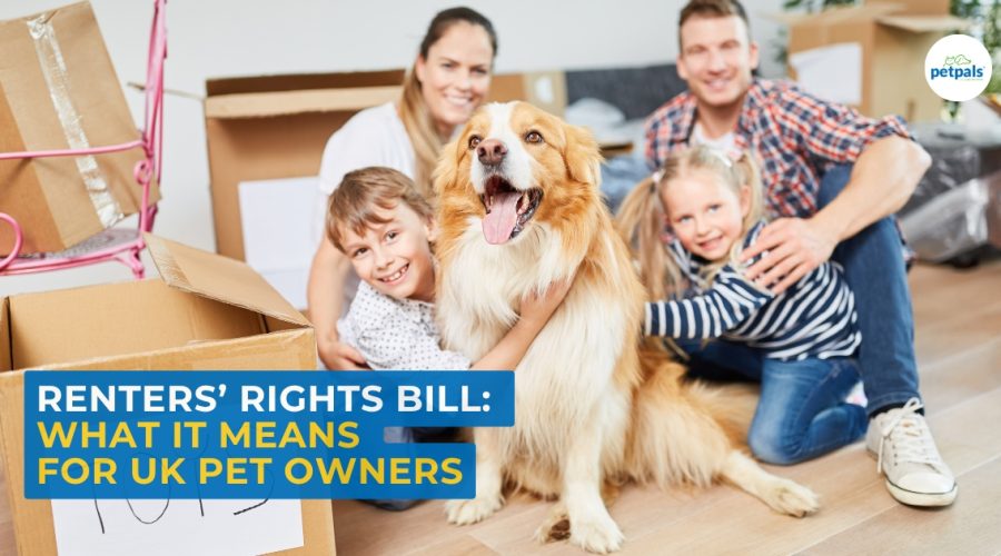 Renters-Right-Bill-What-it-means-for-UK-pet-owners